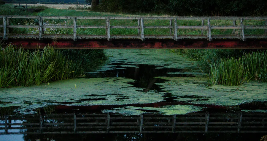 Cadney, photograph 6