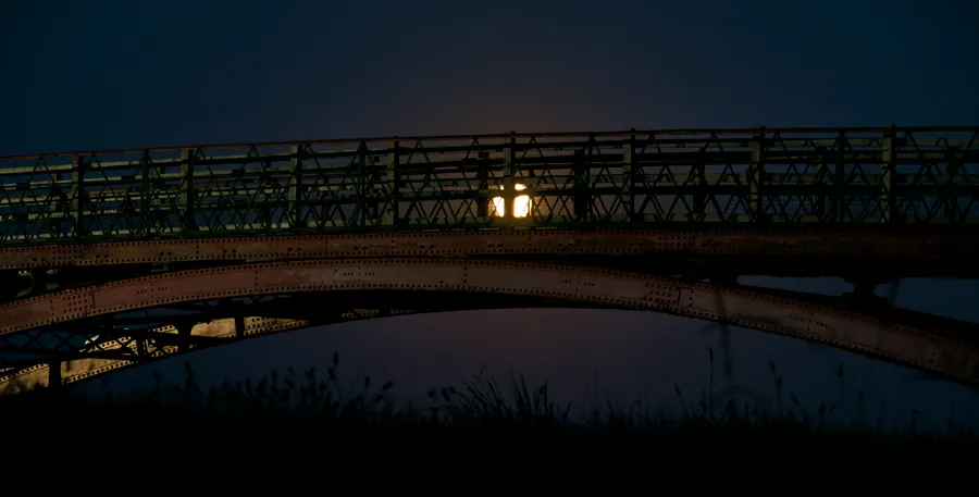 Cadney, photograph 12