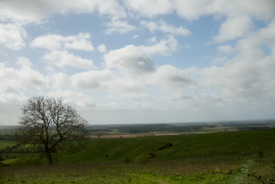 Claxby, photograph 9