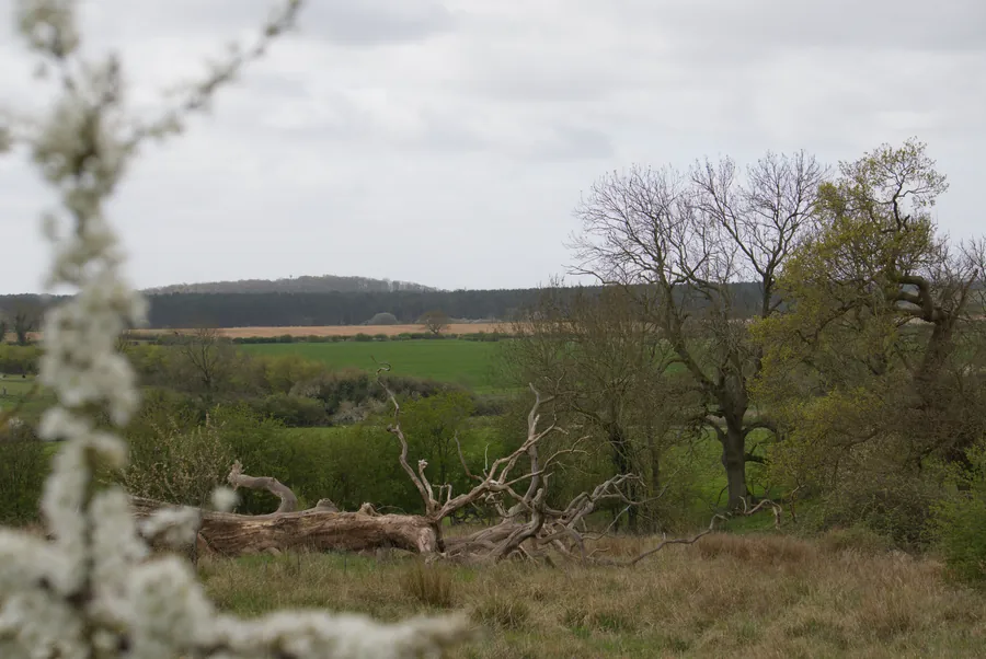 Claxby, photograph 10
