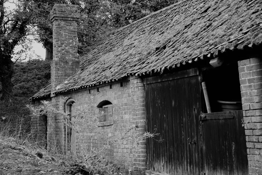 Claxby, photograph 20
