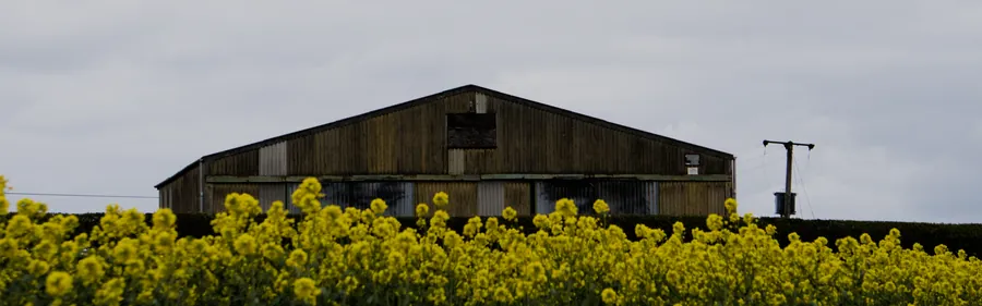Claxby, photograph 21