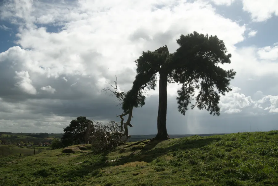 Claxby, photograph 24