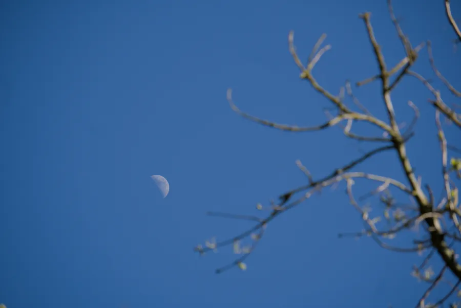 Elsham, photograph 1