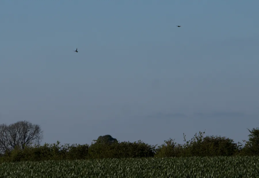 Elsham, photograph 3