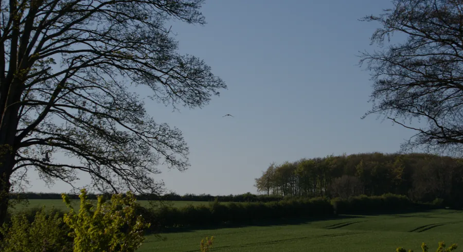 Elsham, photograph 6