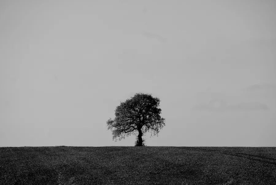 Elsham, photograph 11