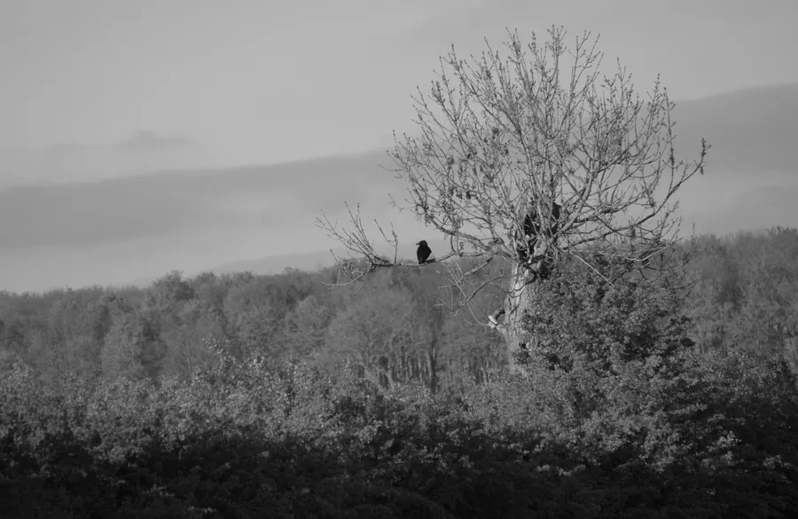 Elsham, photograph 12