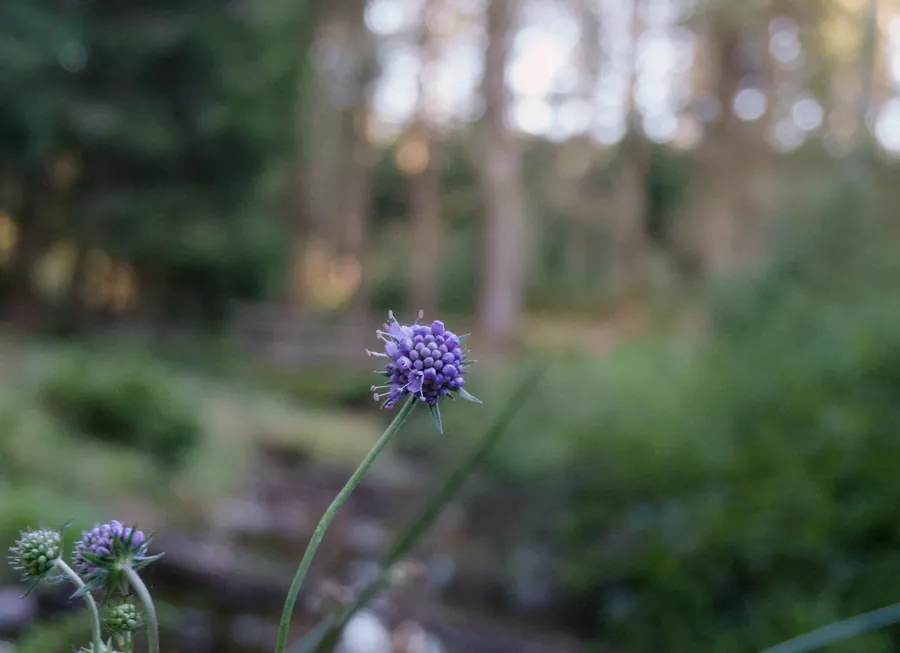Llangurig, photograph 3