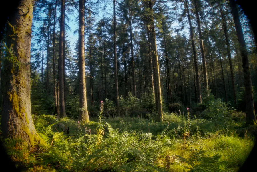 Llangurig, photograph 5
