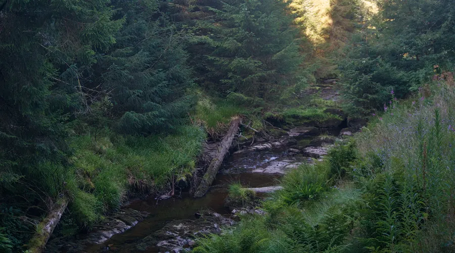 Llangurig, photograph 7