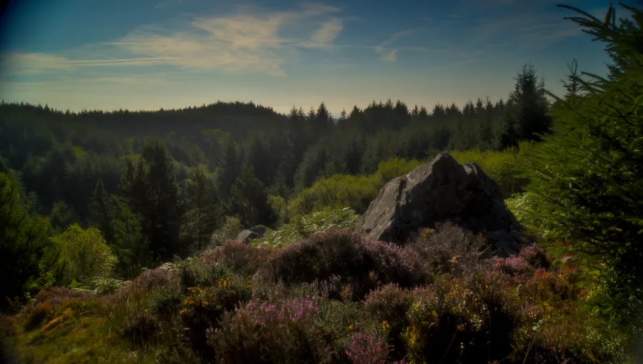 Llangurig, photograph 14