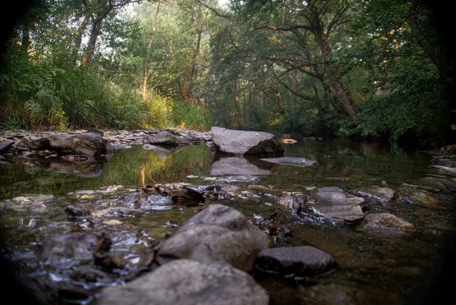 Llangurig, photograph 20