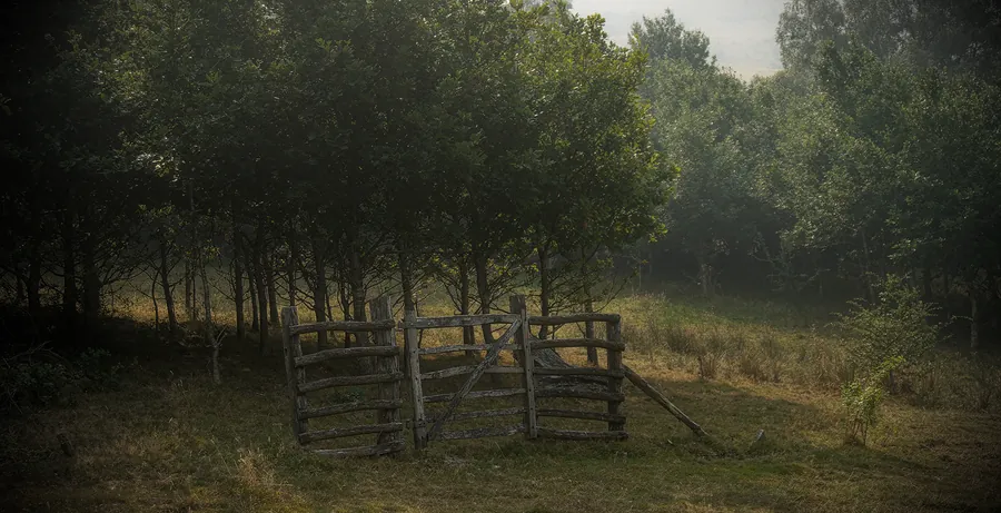Llangurig, photograph 21