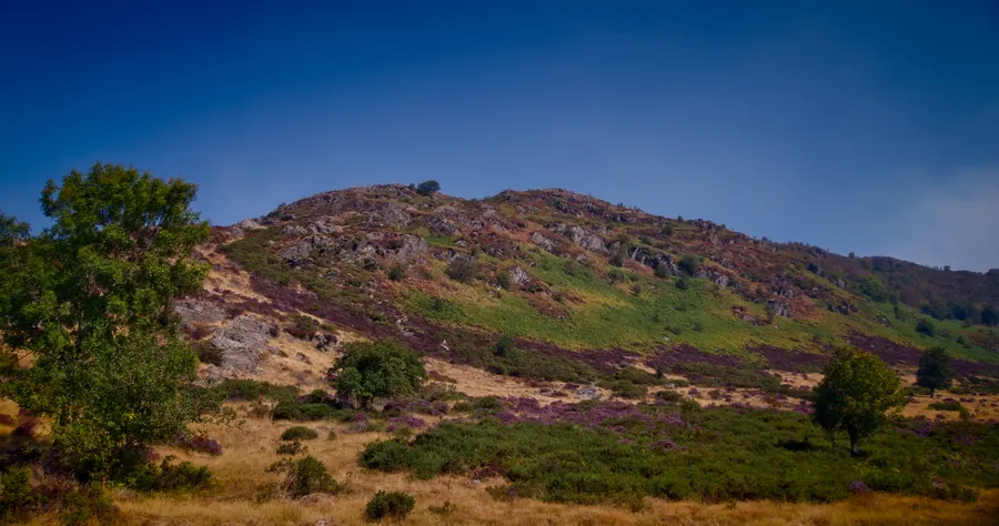 Llangurig, photograph 24
