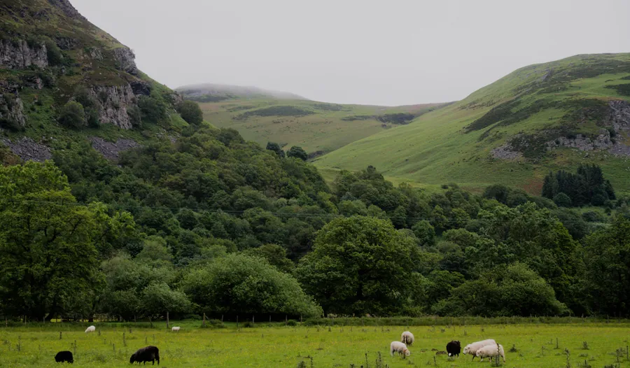 Llangynog, photograph 19