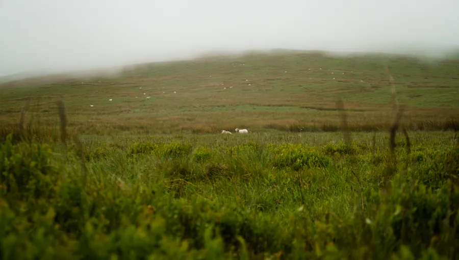Llangynog, photograph 36