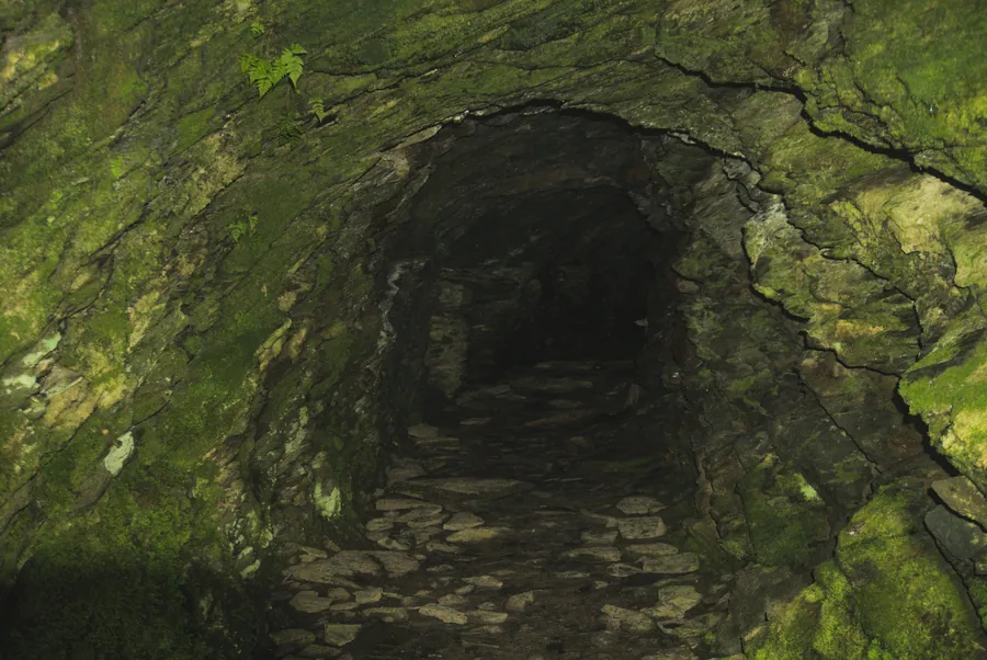 Llangynog, photograph 50