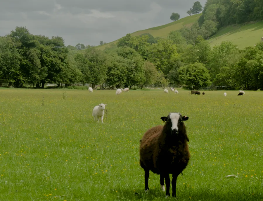 Llangynog, photograph 51
