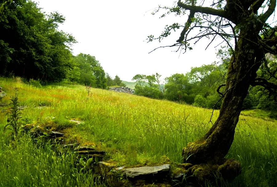 Llangynog, photograph 52